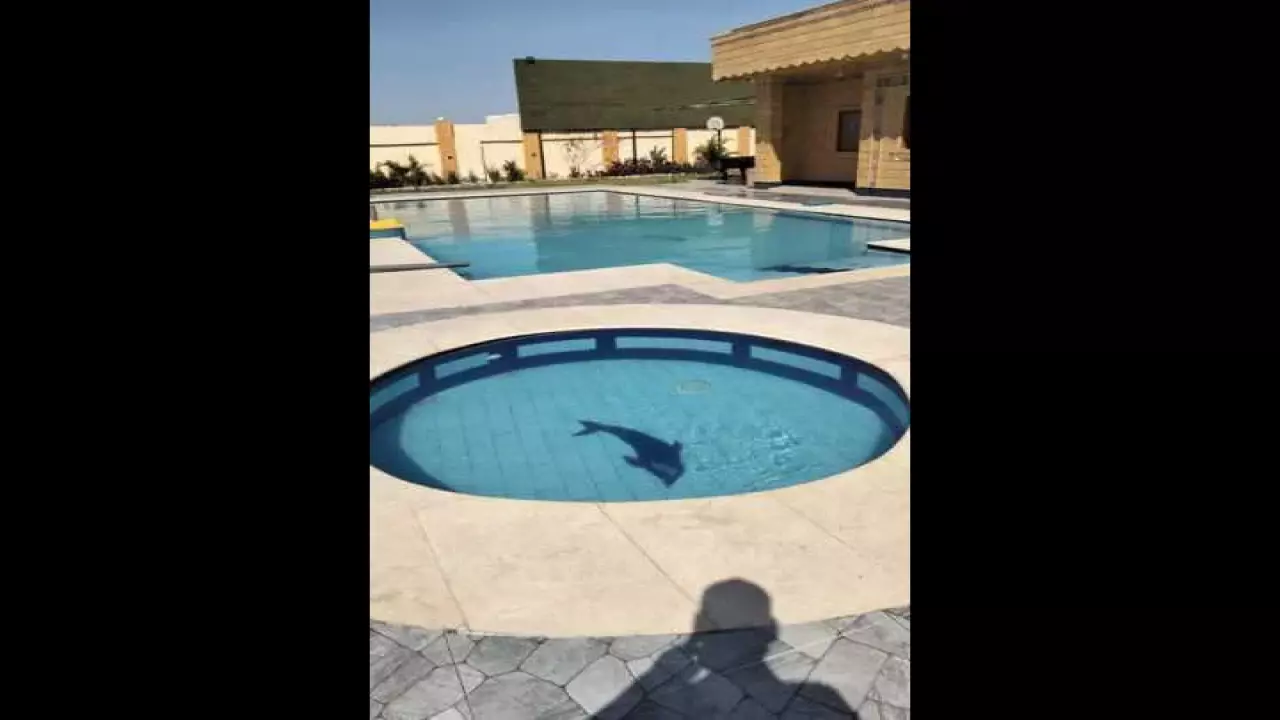 Layan Villa  European Countryside  Pool View Adults & Kids Pools image 3