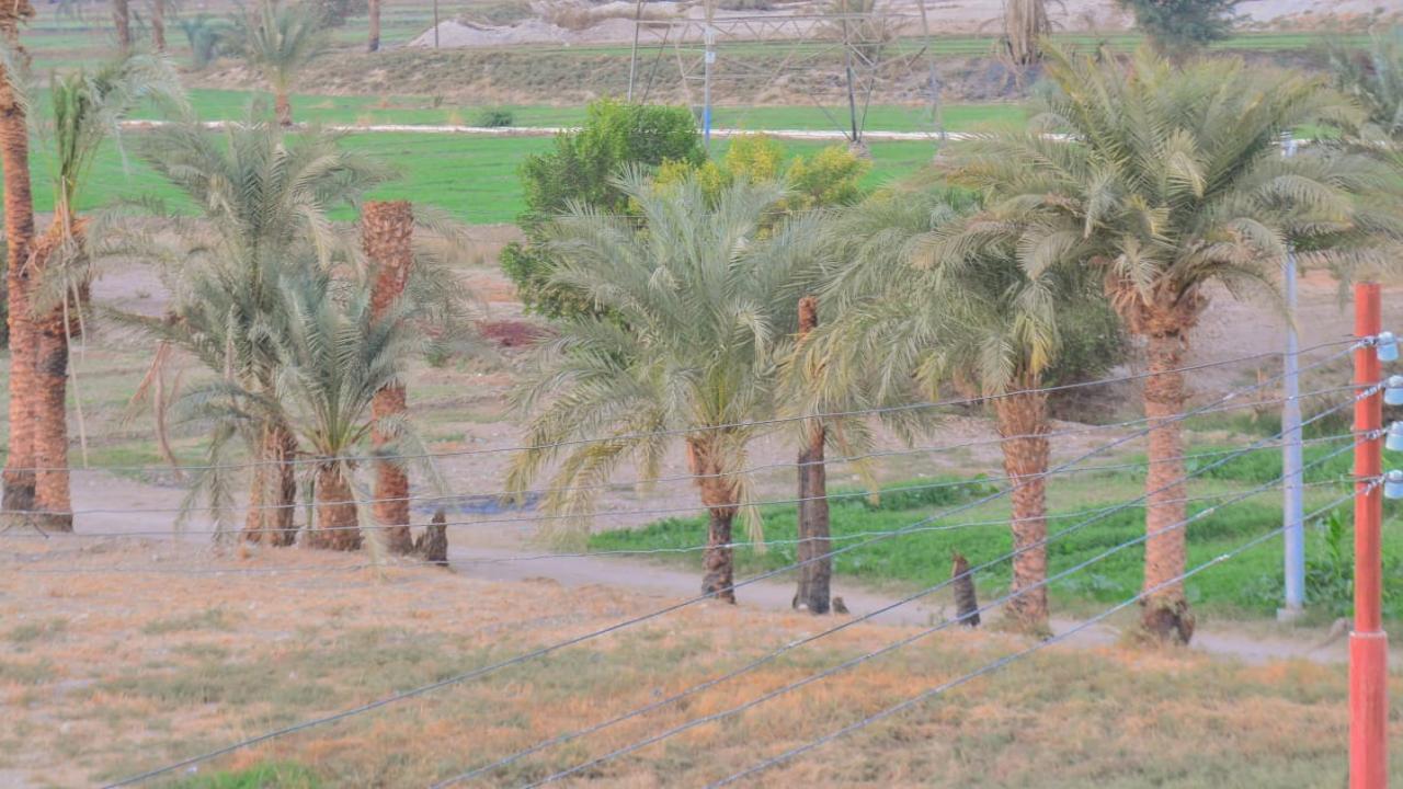 Luxury dublex  4Bedroom Apartment Prime Location in Luxor  Al Qurna Al Rawaih image 3