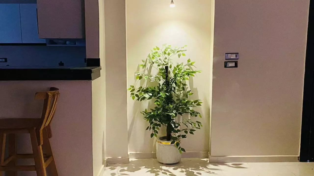 Cozy Studio Apartment  Al Ahyaa Hurghada image 5