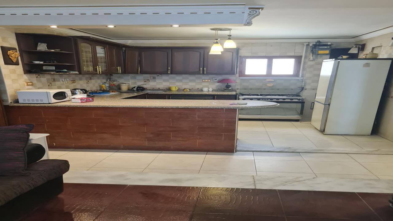 3BR Furnished Airconditioned Nasr City image 3